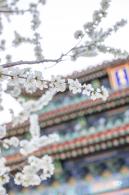 景山公园