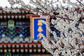 景山公园