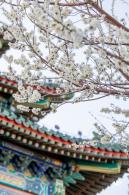 景山公园