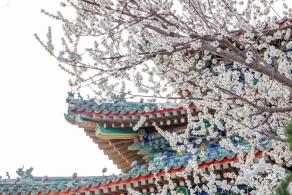 景山公园