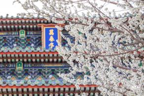 景山公园