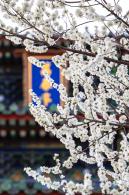 景山公园