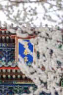 景山公园