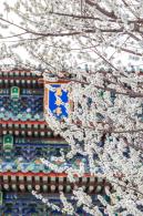 景山公园