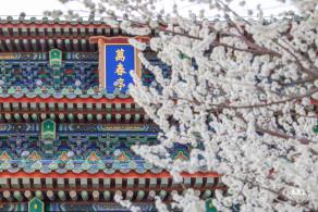 景山公园