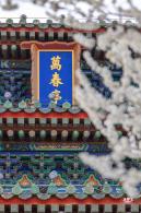 景山公园