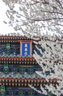 景山公园