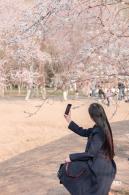 奥森公园桃花