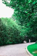 京顺园公园