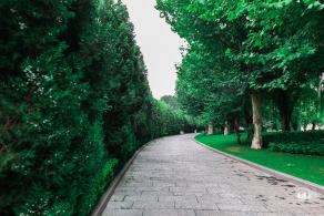 京顺园公园