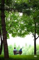 北小河公园