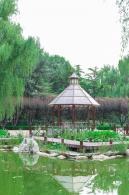 北小河公园
