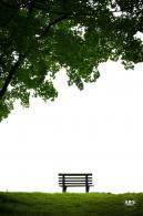 北小河公园