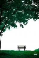 北小河公园