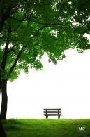 北小河公园