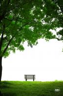北小河公园