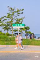青岛的海