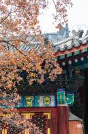香山公园