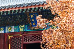 香山公园