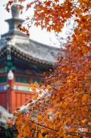 香山公园