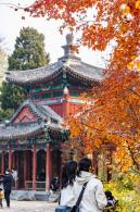 香山公园