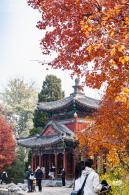 香山公园