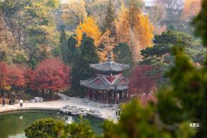 香山公园