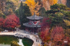 香山公园