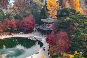香山公园
