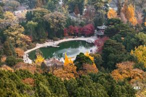 香山公园