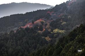 香山公园