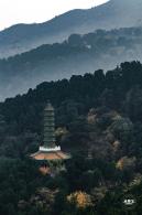 香山公园