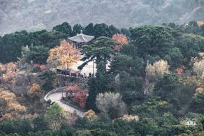 香山公园