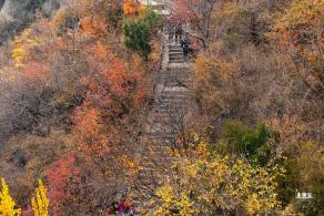 香山公园