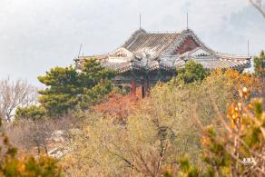 香山公园