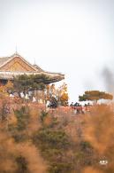 香山公园