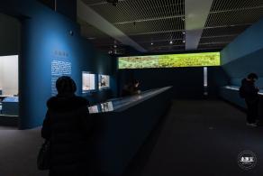 和合共生展览