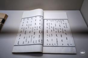 和合共生展览