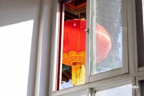 中山公园花展