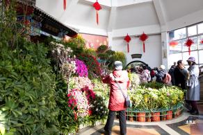 中山公园花展