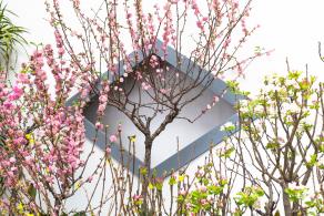 中山公园花展