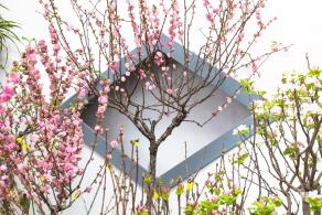 中山公园花展