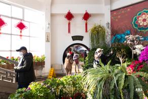 中山公园花展