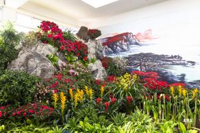 中山公园花展
