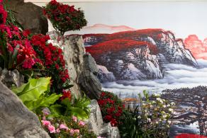 中山公园花展