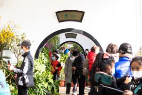 中山公园花展