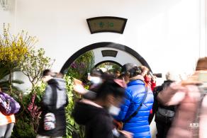 中山公园花展