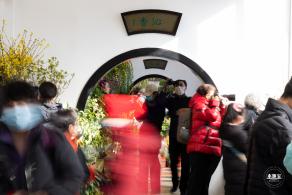 中山公园花展