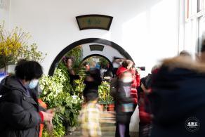 中山公园花展