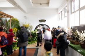中山公园花展